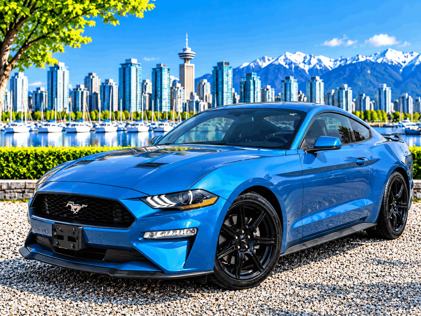 2019 Ford Mustang EcoBoost Fastback NO ACCIDENTS/BC LOCAL/ONE OWNER