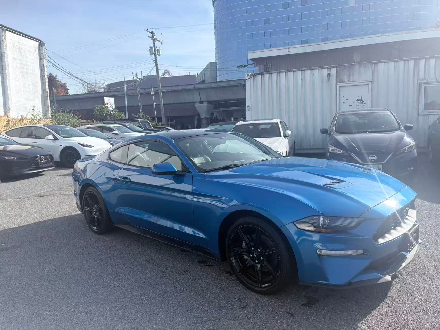 2019 Ford Mustang EcoBoost Fastback NO ACCIDENTS/BC LOCAL/ONE OWNER thumbnail 8