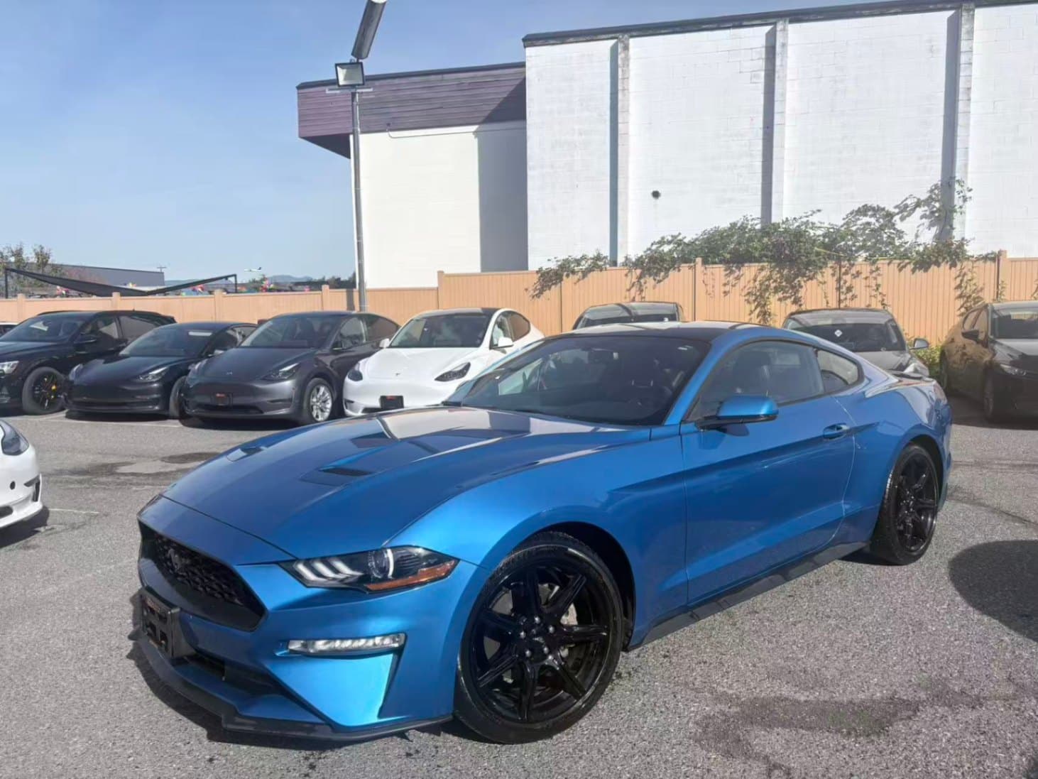 2019 Ford Mustang EcoBoost Fastback NO ACCIDENTS/BC LOCAL/ONE OWNER thumbnail 2