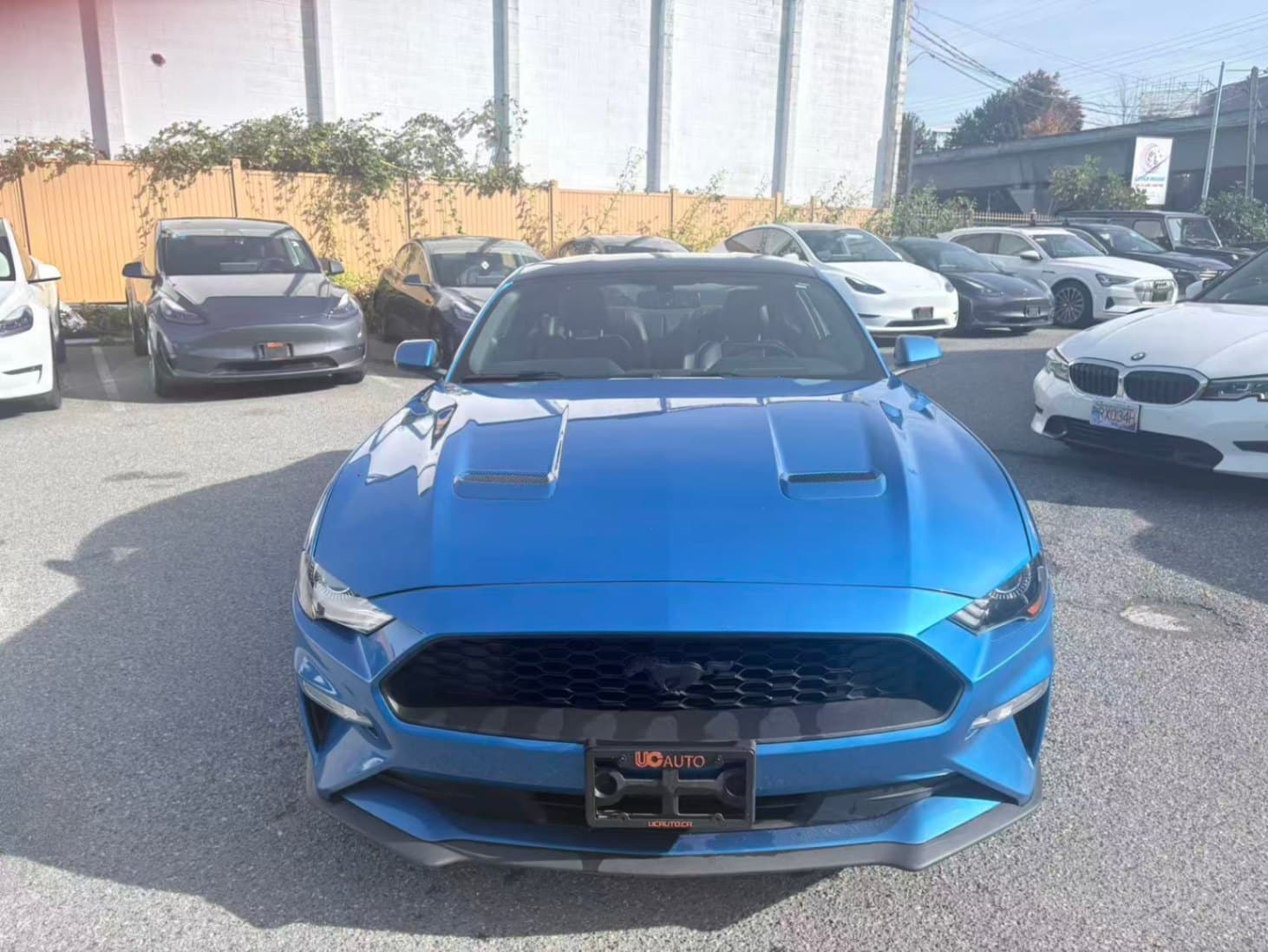 2019 Ford Mustang EcoBoost Fastback NO ACCIDENTS/BC LOCAL/ONE OWNER thumbnail 9