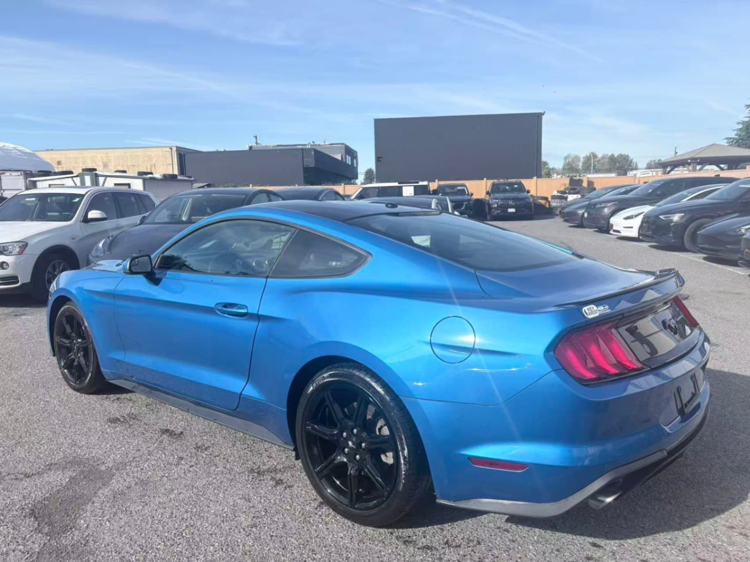 2019 Ford Mustang EcoBoost Fastback NO ACCIDENTS/BC LOCAL/ONE OWNER thumbnail 4