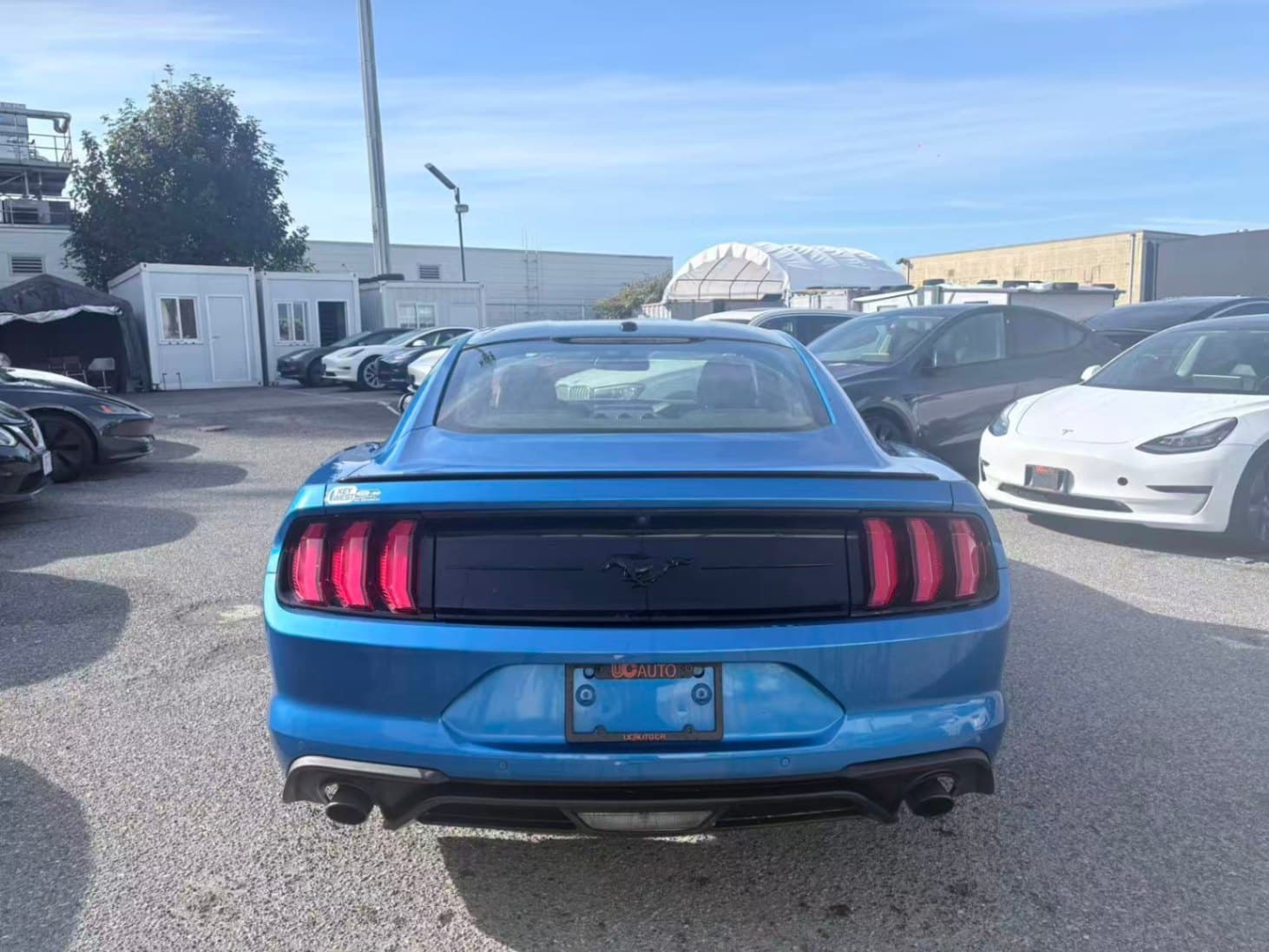 2019 Ford Mustang EcoBoost Fastback NO ACCIDENTS/BC LOCAL/ONE OWNER thumbnail 5