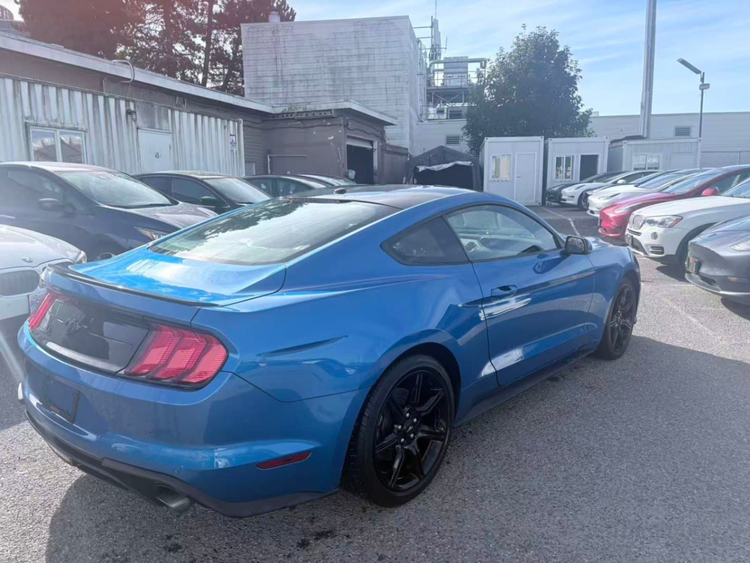 2019 Ford Mustang EcoBoost Fastback NO ACCIDENTS/BC LOCAL/ONE OWNER thumbnail 6