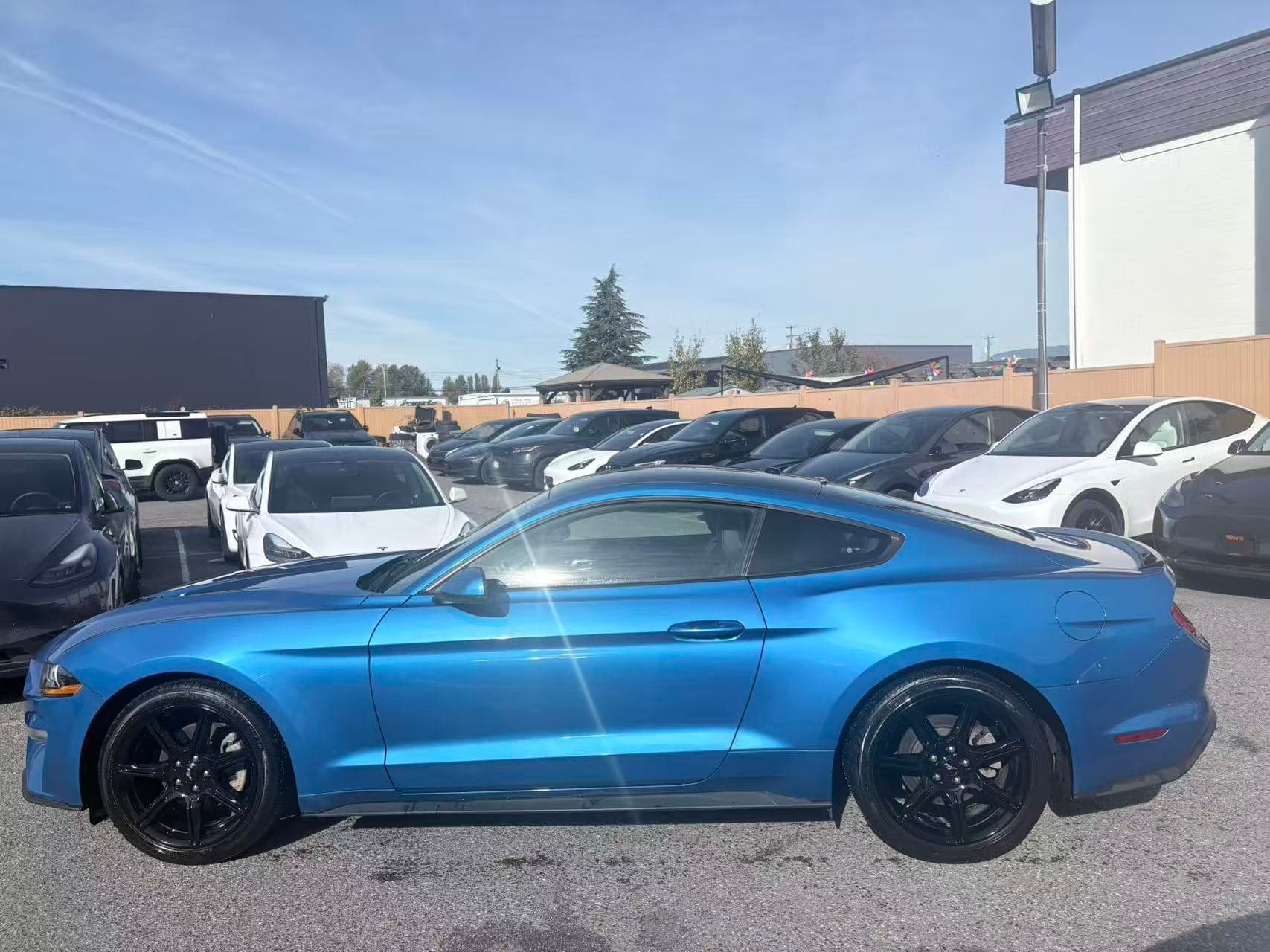 2019 Ford Mustang EcoBoost Fastback NO ACCIDENTS/BC LOCAL/ONE OWNER thumbnail 3