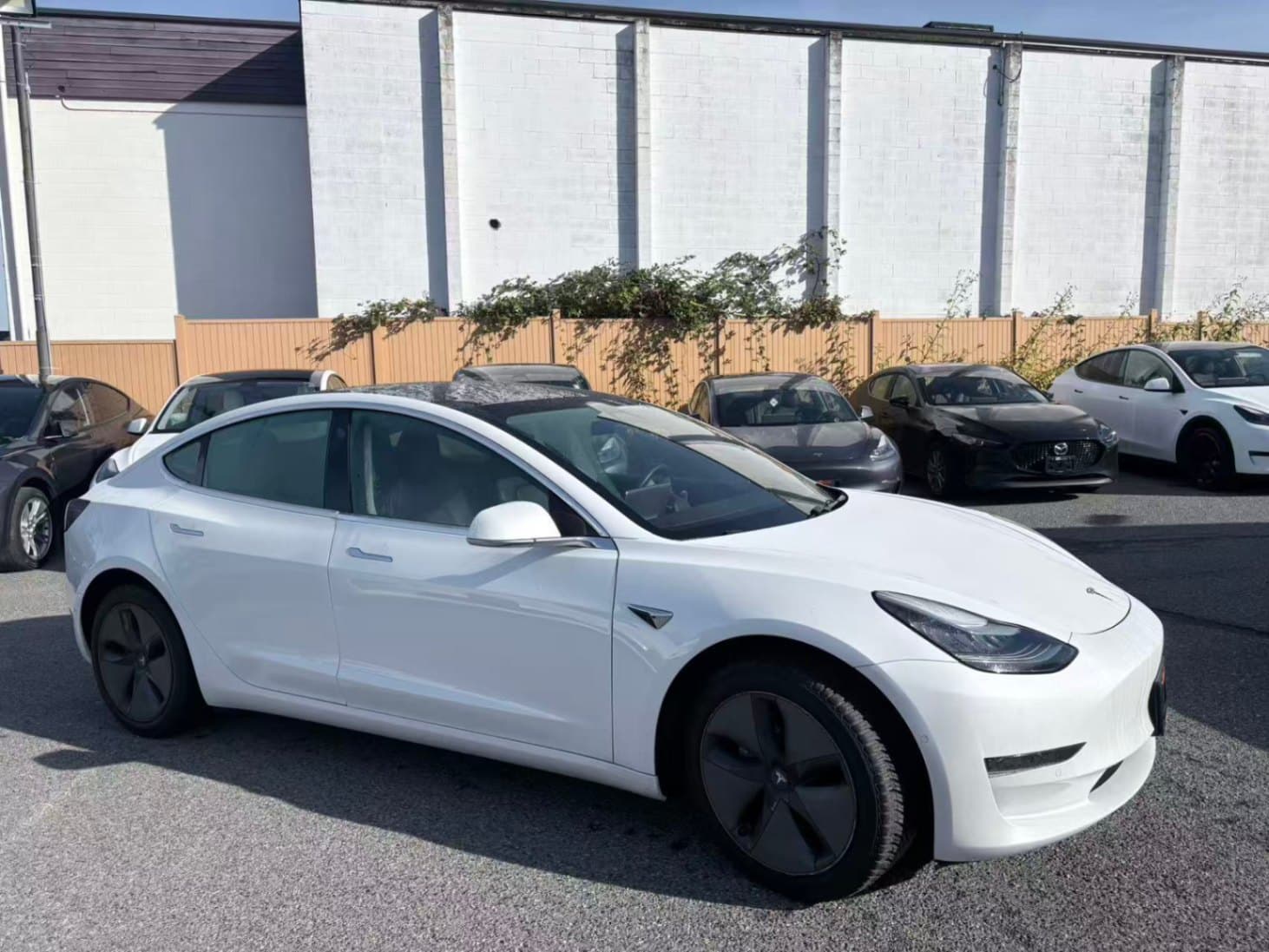 2019 Tesla Model 3 Standard Range RWD *Ltd Avail* NO ACCIDENTS/BC Local thumbnail 8