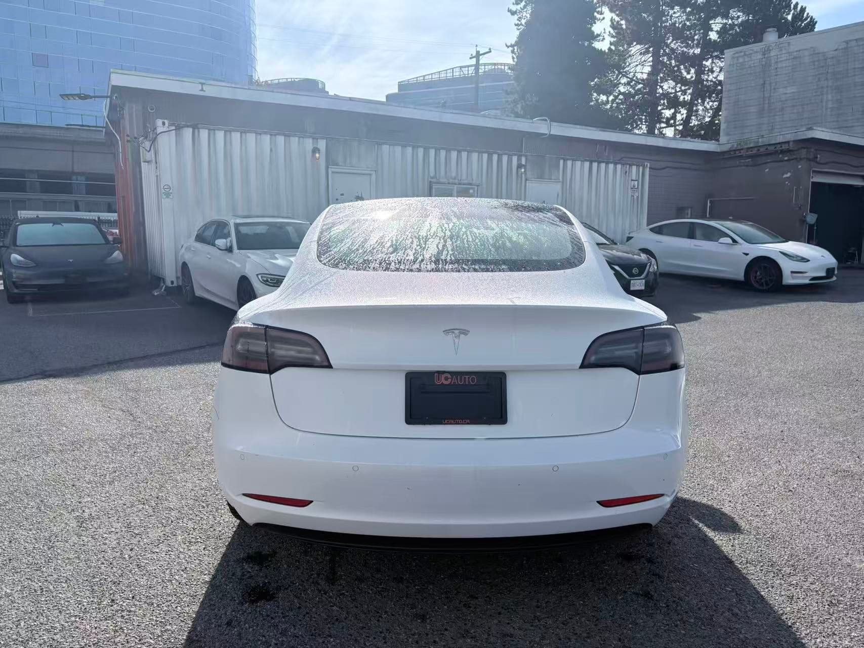 2019 Tesla Model 3 Standard Range RWD *Ltd Avail* NO ACCIDENTS/BC Local thumbnail 5