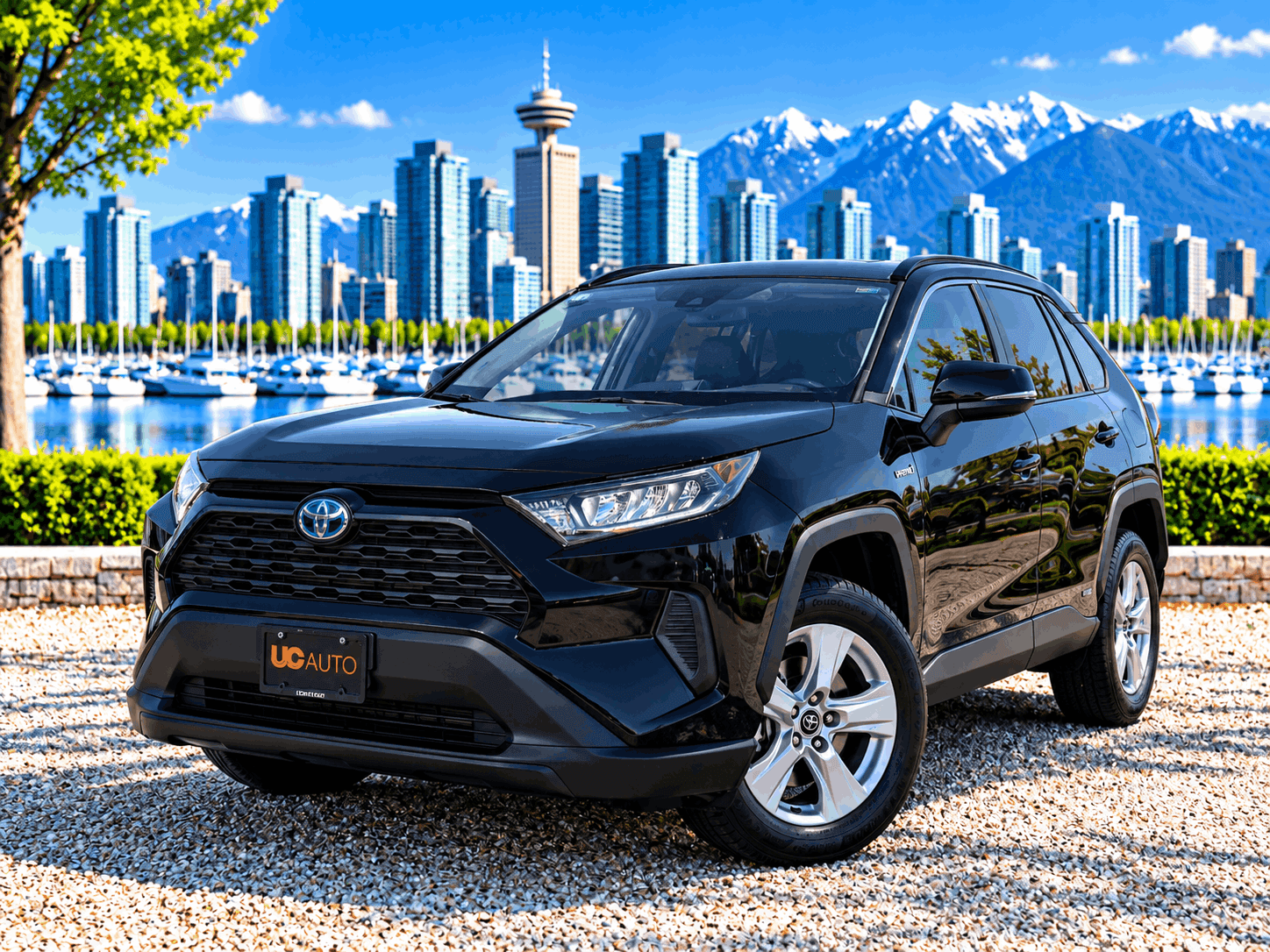 2019 Toyota RAV4 AWD Hybrid LE NO ACCIDENTS/BC LOCAL CAR