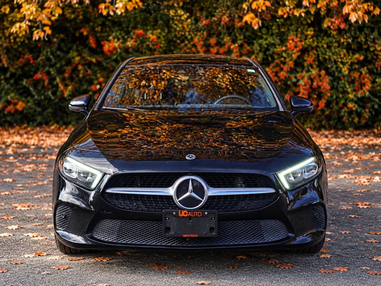 2020 Mercedes-Benz A-Class A 220 4MATIC Sedan No Accidents/BC Local thumbnail 8
