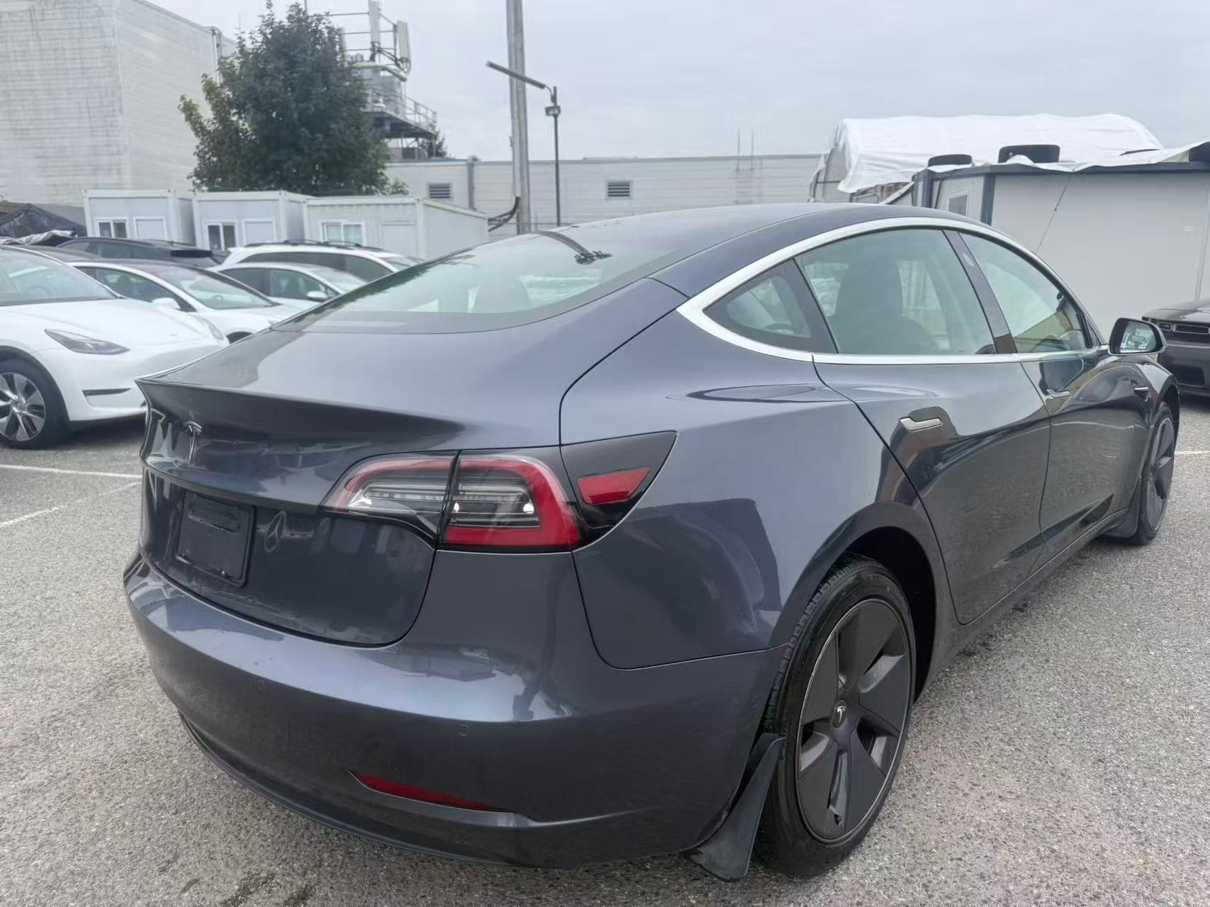 2020 Tesla Model 3 Standard Range Plus RWD NO ACCIDENTS/BC LOCAL CAR thumbnail 6