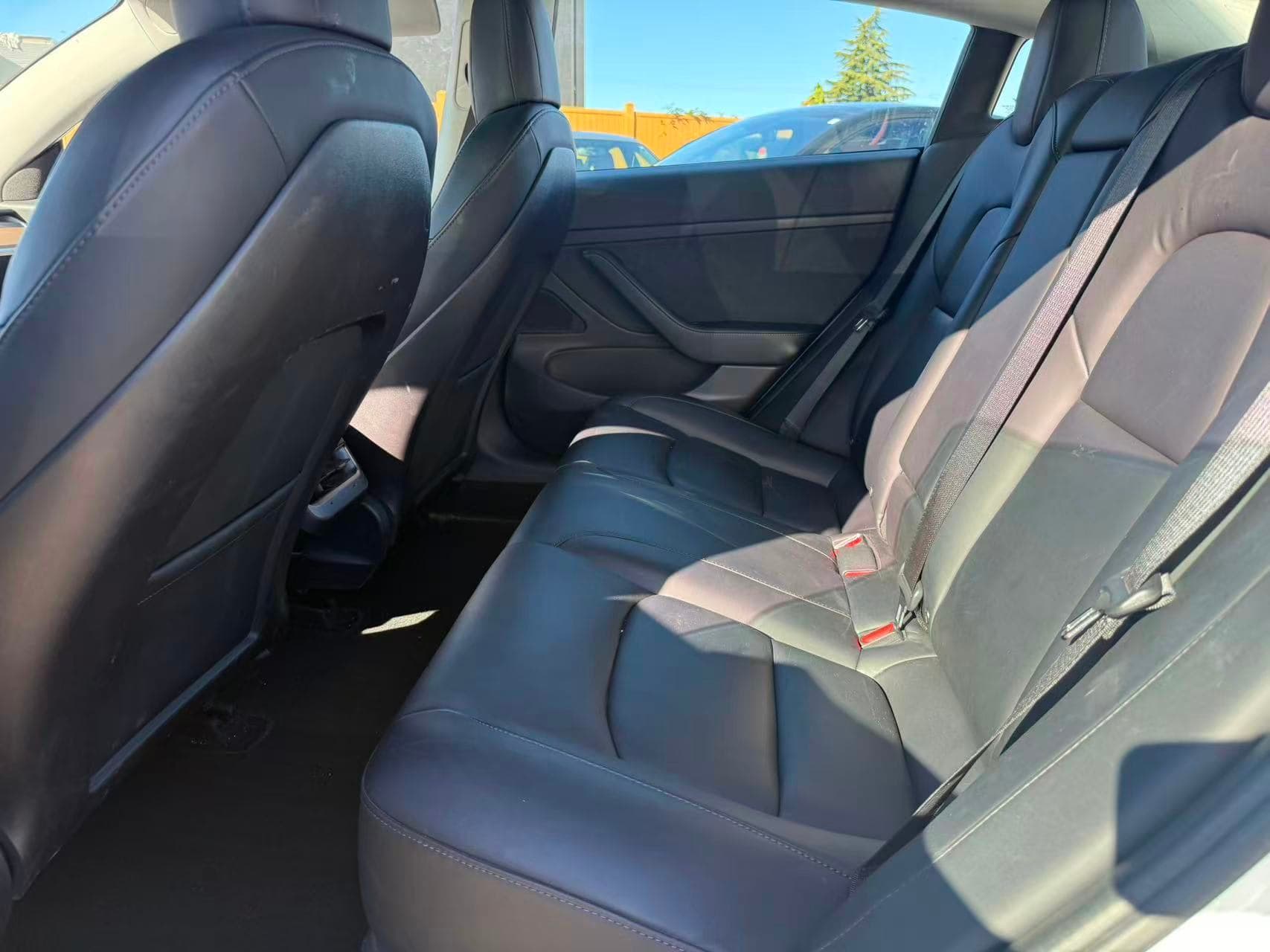 2020 Tesla Model 3 Standard Range Plus RWD NO ACCIDENTS/BC LOCAL thumbnail 12