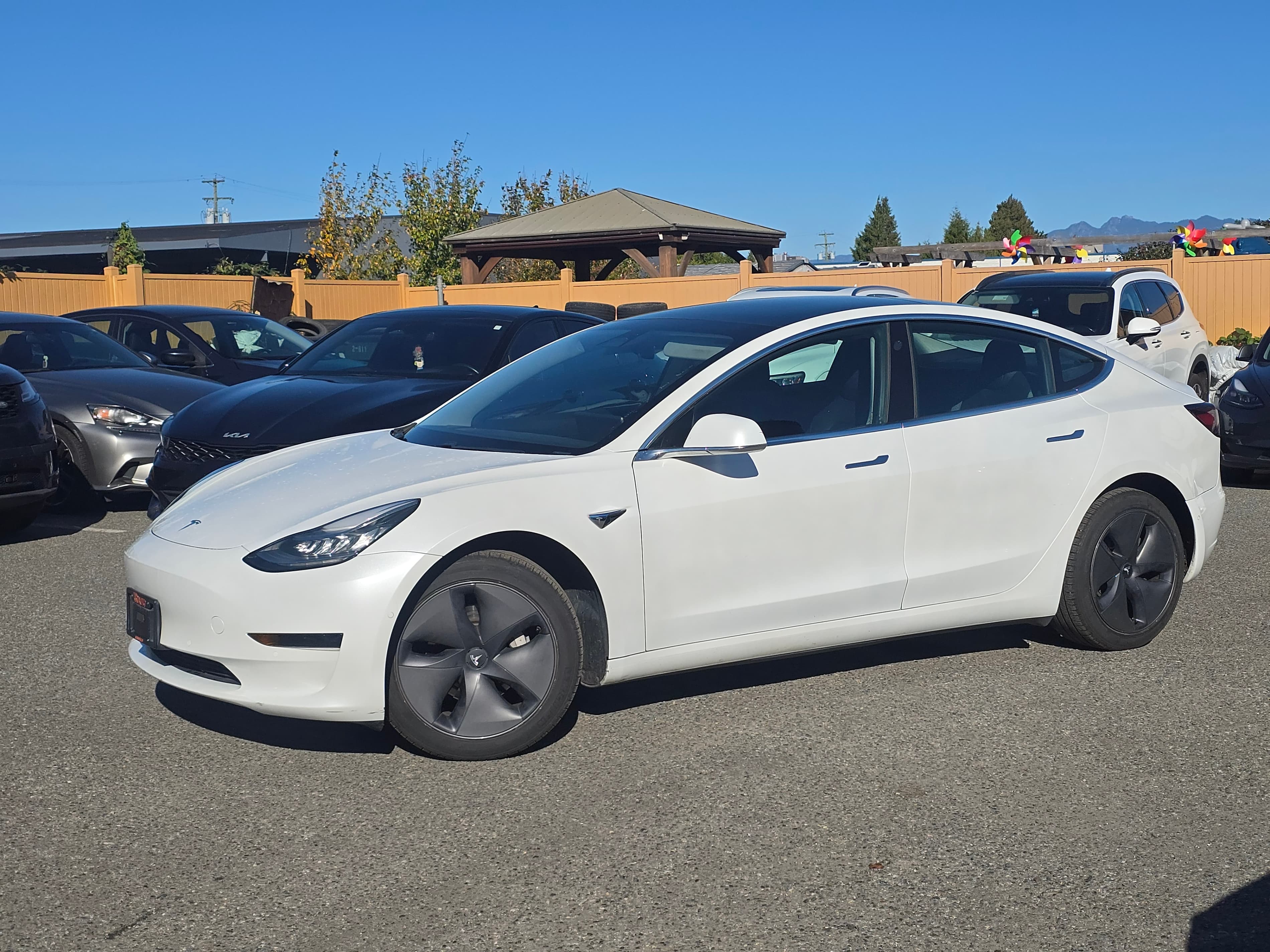 2020 Tesla Model 3 Standard Range Plus RWD NO ACCIDENTS/BC LOCAL thumbnail 3