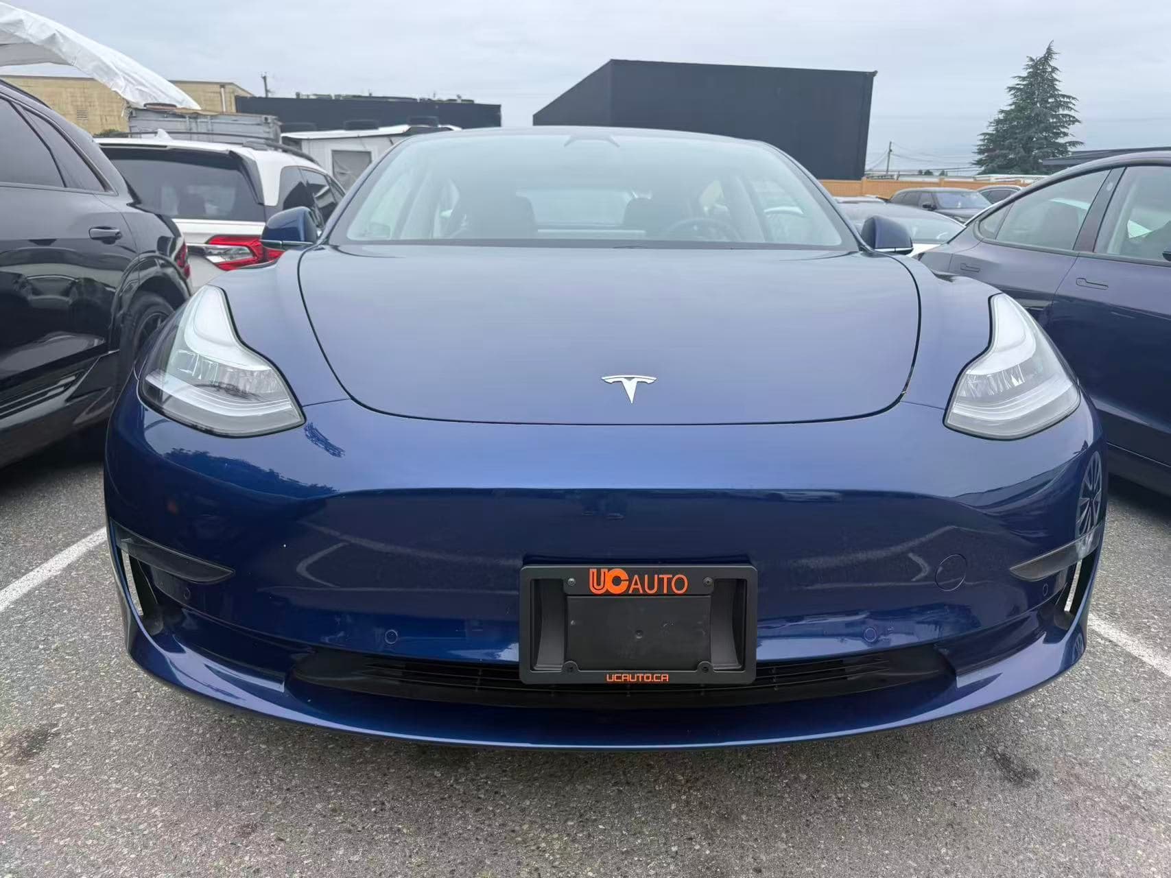 2020 Tesla Model 3 Standard Range Plus RWD thumbnail 9