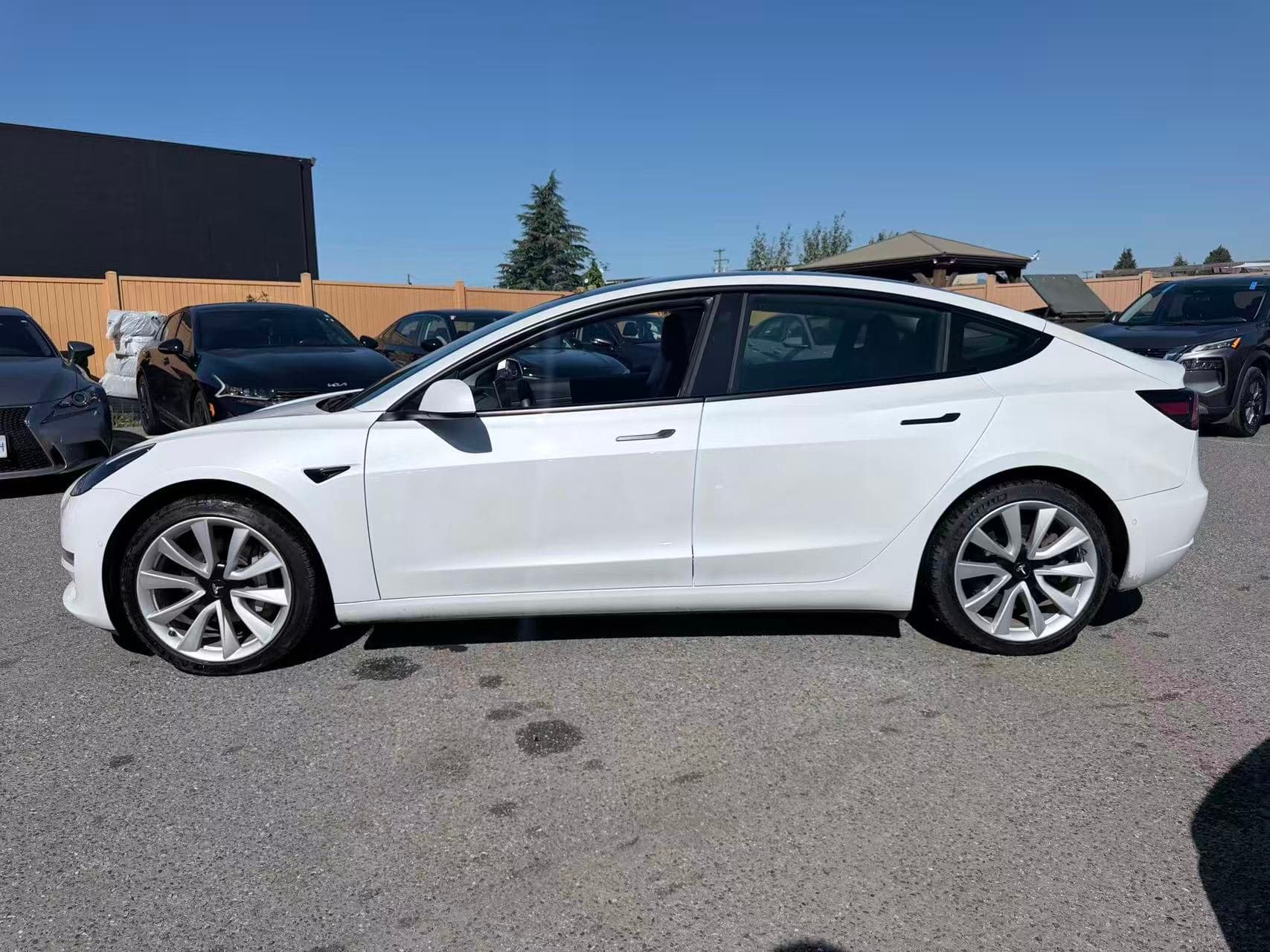 2021 Tesla Model 3 Standard Range Plus RWD/ NO ACCIDENT/ BC LOCAL thumbnail 8