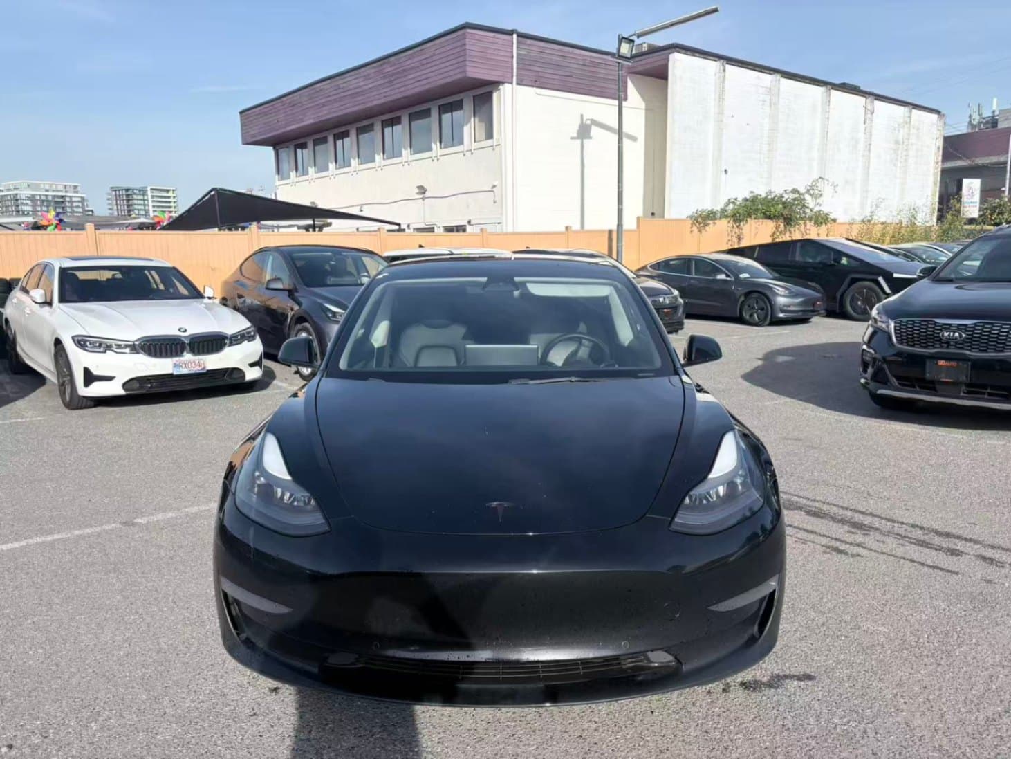 2022 Tesla Model 3 RWD thumbnail 9