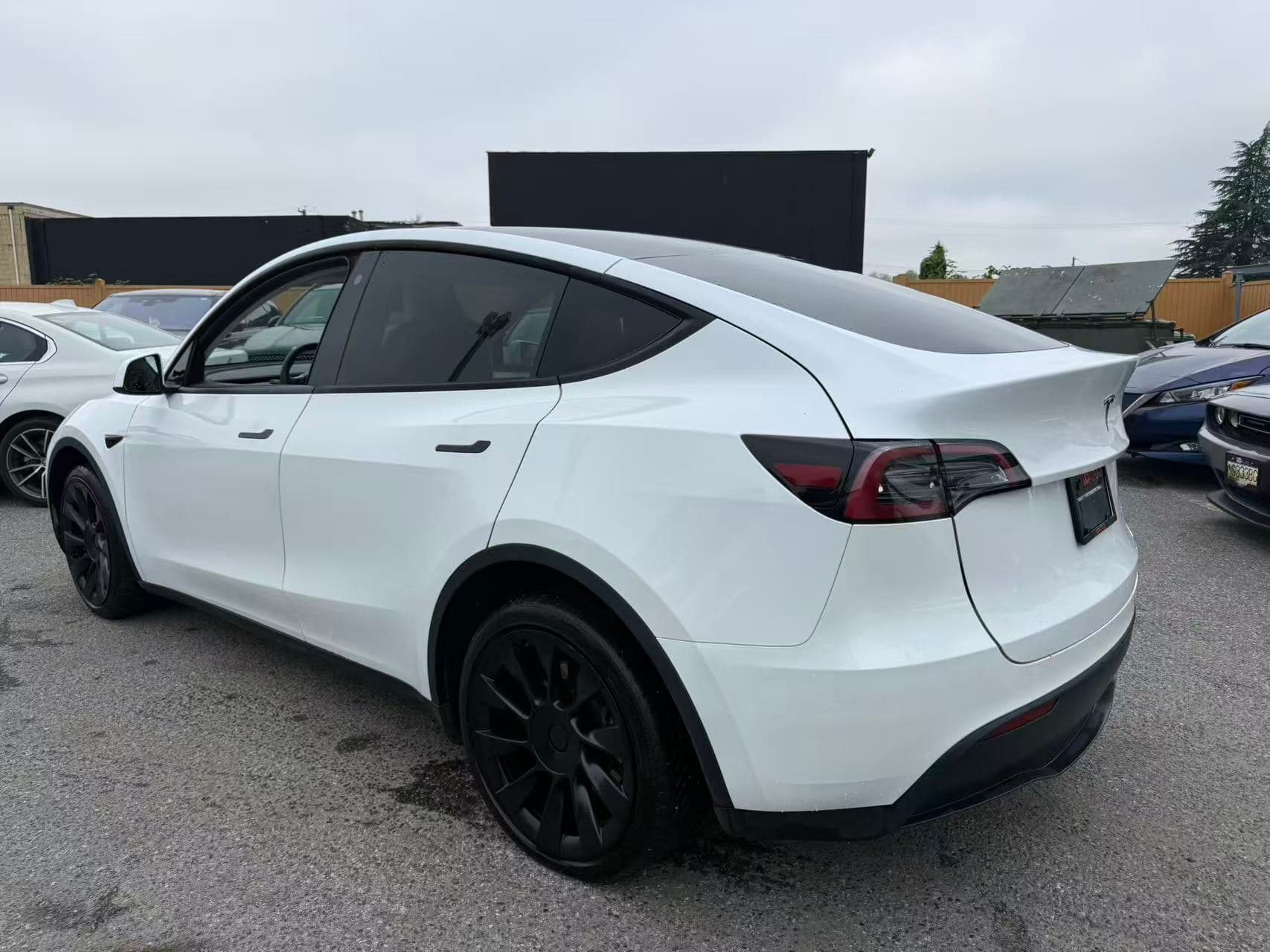 2023 Tesla Model Y Long Range AWD thumbnail 4