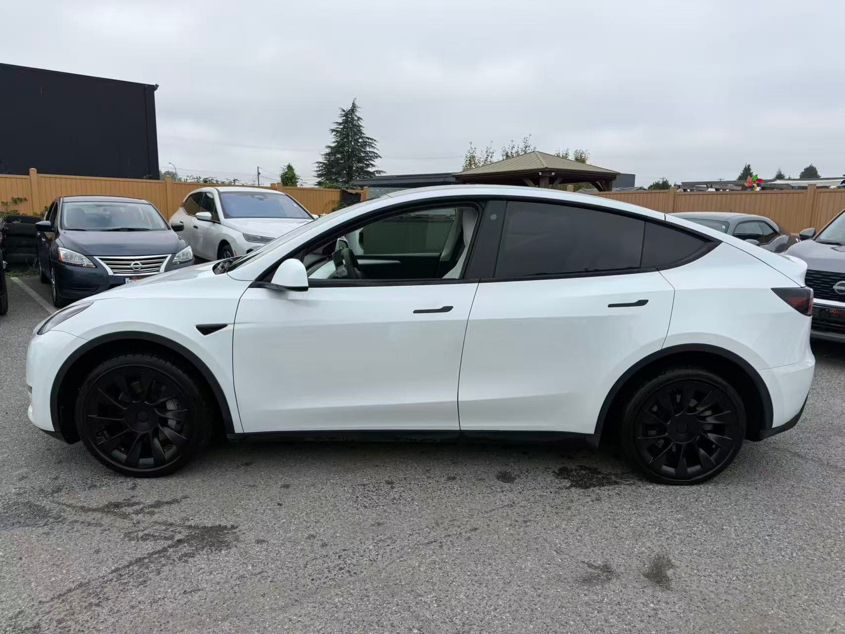 2023 Tesla Model Y Long Range AWD thumbnail 3