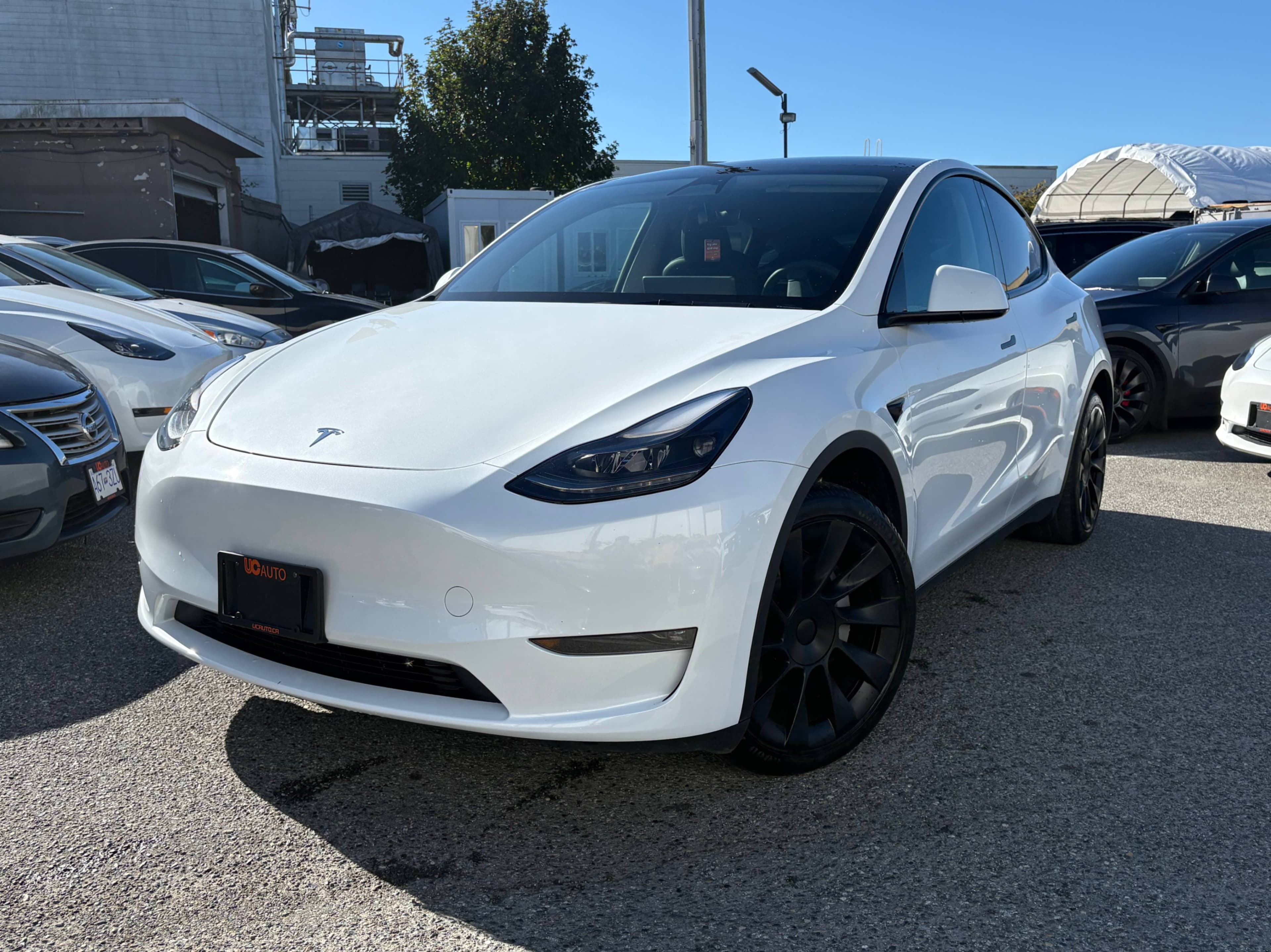 2023 Tesla Model Y Long Range AWD CLEAN TITLE/BC LOCAL CAR thumbnail 2