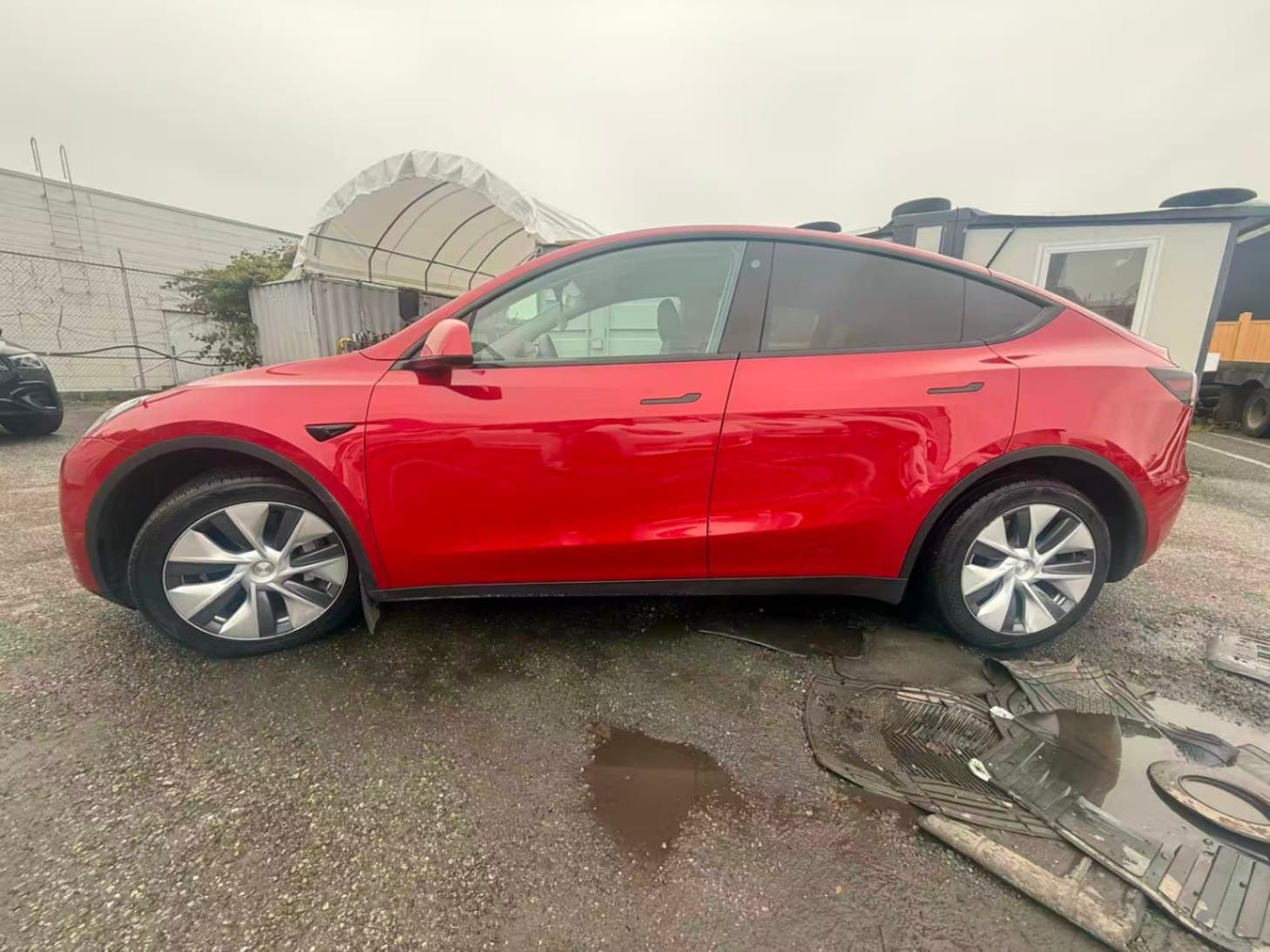 2023 Tesla Model Y RWD No Accident, BC Local, One Owner thumbnail 5