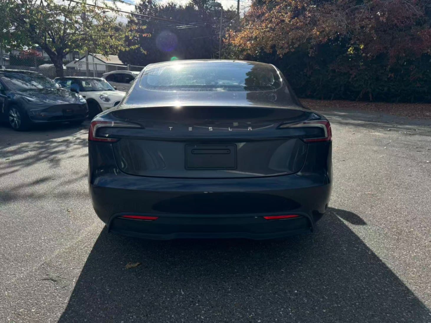2024 Tesla Model 3 RWD *Ltd Avail*NO ACCIDENTS/BC LOCAL/ONE OWNER thumbnail 5