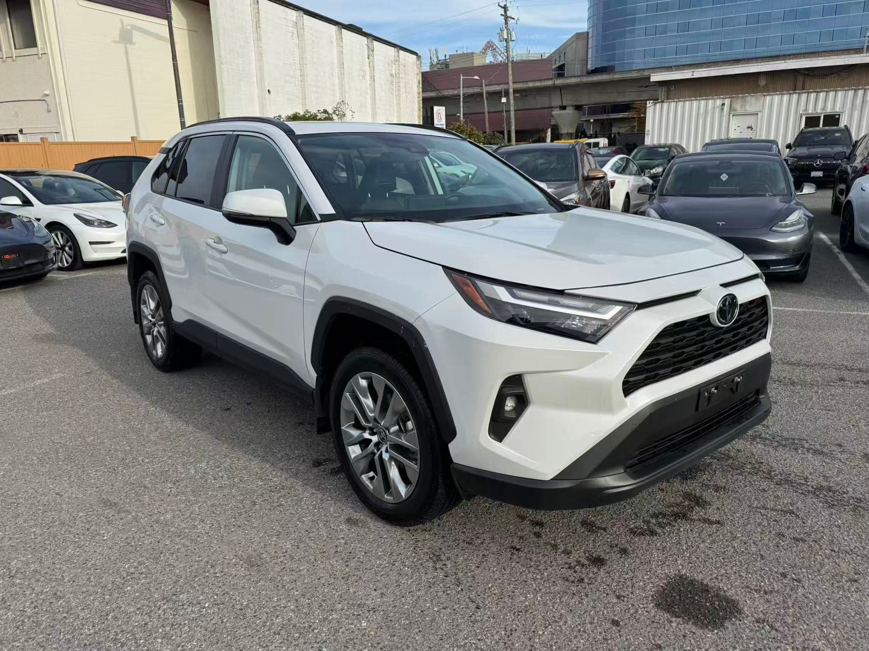 2025 Toyota RAV4 XLE Premium AWD NO ACCIDENTS/BC LOCAL/ONE OWNER thumbnail 8
