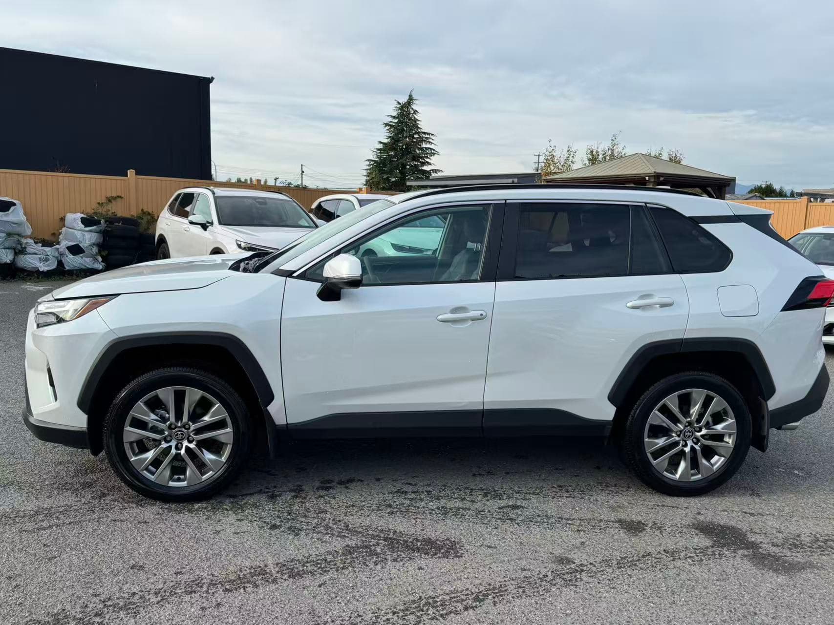 2025 Toyota RAV4 XLE Premium AWD NO ACCIDENTS/BC LOCAL/ONE OWNER thumbnail 3