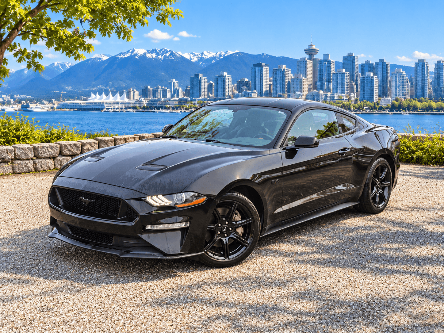 2019 Ford Mustang Gt Coupe